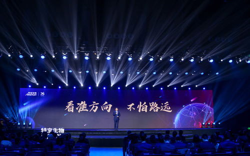 视觉盛宴升级！全新庆祝仪式与球衣亮相，体验新高度！