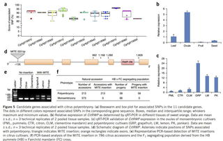 RYL类型的基因密码，不是怀旧，是机制稀缺