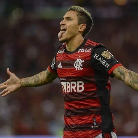 植物大战僵尸为什么总在第47关崩盘？2025年通关率仅12%的终极破解方案