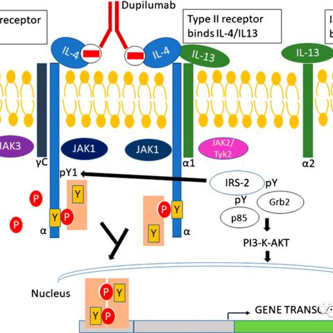 一、2025年四大变态类型实战图谱