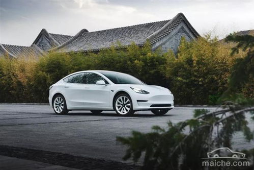 特斯拉Model Y提车5小时遇惊魂,狗吓坏修车费1.7万,安全升级成新宠 特斯拉Model Y提车5小时遇惊魂,狗吓坏修车费1.7万,安全升级成新宠