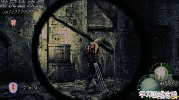 生化危机4秘籍大全，从芝加哥打字机到P.R.L.412的完整解锁链