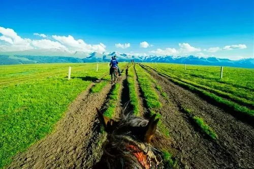 2026经济系统暗改，为什么传统农场废了