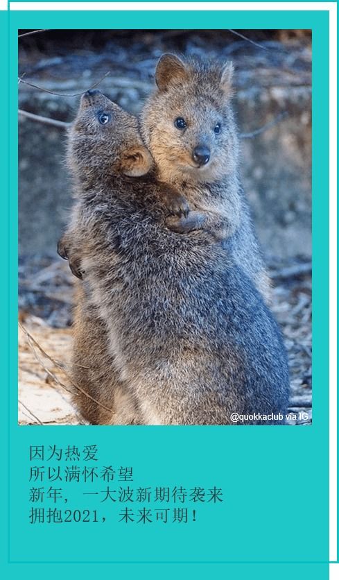 狲家悲歌：狲思邈痛失亲人，传承新希望