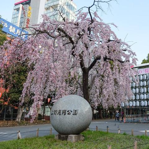 突袭宝库通关率仅12%？内部资料揭秘高效阵容与隐藏机制