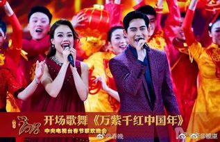 春晚广告泛滥引热议，河南春晚成焦点话题！