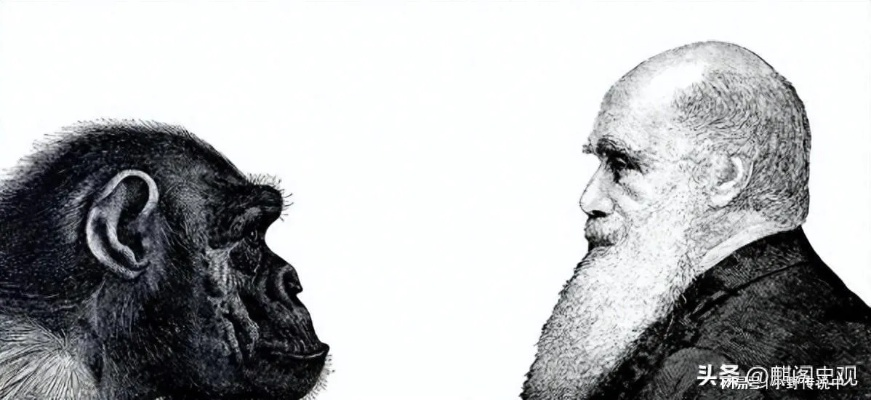 《达尔文悖论》终定4月2日,全新进化体验来袭 《达尔文悖论》终定4月2日,全新进化体验来袭