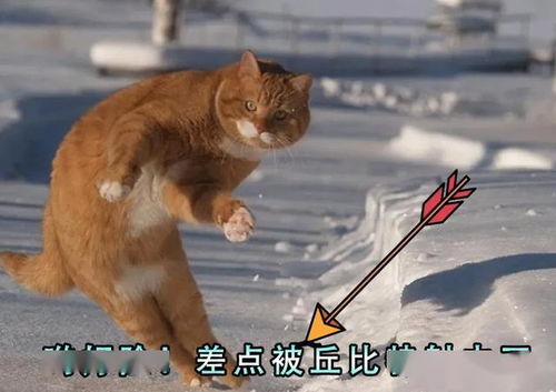 画驴成斑马式山寨游戏泛滥？2025玩家防坑实战，3步识别换皮猫腻