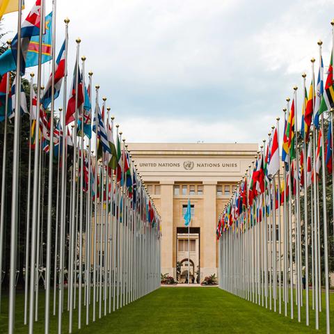 2025最新女主手游强度榜，隐藏天花板角色与阵容搭配全揭秘