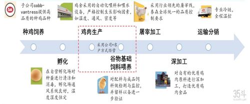 时之初始角色培养全解析，2025下半年最强配队方案与抽取建议