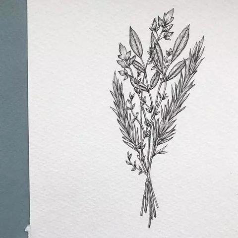 开放世界新作《宇宙植物学家》   登陆Steam