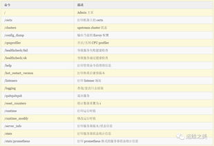 2025年久久传奇私服开服内幕，从版本选型到稳定运营的实战避坑指南
