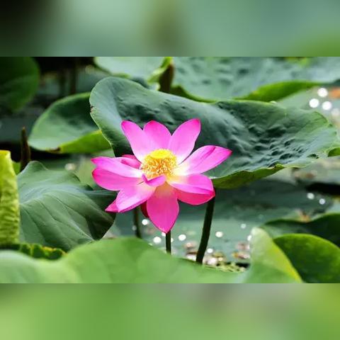 2014网游排行榜考古，当年霸榜神作哪些还能玩？（附2025复活指南）