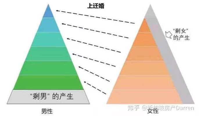 剩女分级诊疗手册,从青铜到王者,2025年婚恋市场精准匹配全攻略 剩女分级诊疗手册,从青铜到王者,2025年婚恋市场精准匹配全攻略