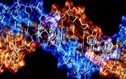从青铜到总冠军,2026赛季必学的3套颠覆性战术体系揭秘 从青铜到总冠军,2026赛季必学的3套颠覆性战术体系揭秘