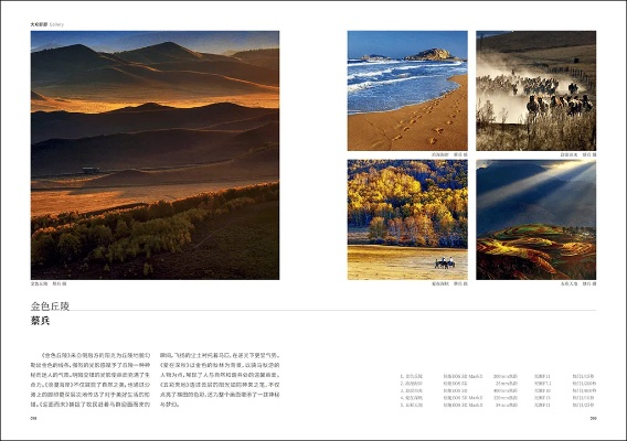 天涯图影类型图谱，从人文纪实到故事摄影，2025年精准搜索指南