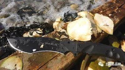 流浪者小岛贝爷小刀真相,生存专家不会告诉你的选刀门道与隐藏机制 流浪者小岛贝爷小刀真相,生存专家不会告诉你的选刀门道与隐藏机制