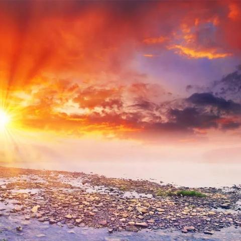 火得连成人女星都在玩！《恶意不息》制作人感叹