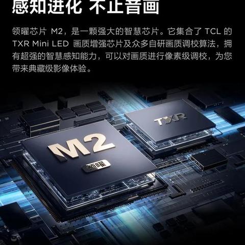 雾之战车性能天花板在哪？M2级赛车数据化改装指南