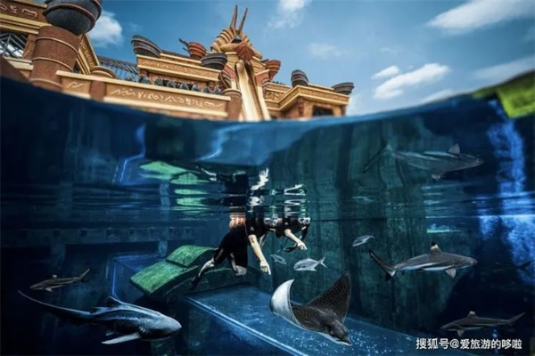 亚特兰蒂斯之门怎么打?高玩亲授无伤通关黑科技 亚特兰蒂斯之门怎么打?高玩亲授无伤通关黑科技