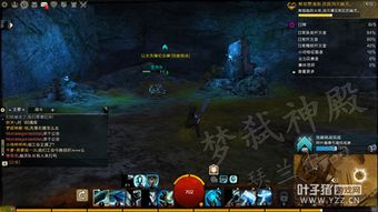 激战2阿什福德平原全收集攻略，2025最新隐藏宝箱+爱心任务速通秘籍