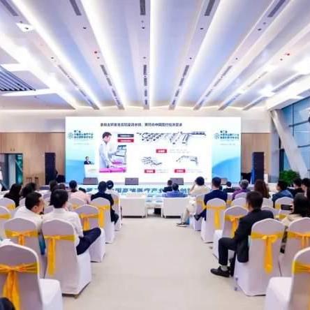 2025英雄岛职业搭配终极指南,这3套T0阵容让胜率暴涨80% 2025英雄岛职业搭配终极指南,这3套T0阵容让胜率暴涨80%