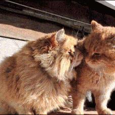 飞车小子漂移总失控？高手都在用的5个隐藏参数