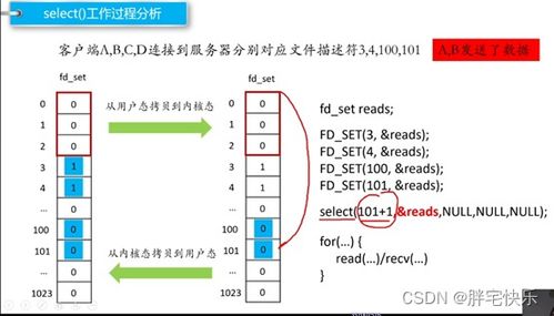 私服网类型图谱，你的需求匹配对了吗？