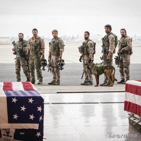 海豹突击队CF类型全揭秘，2025年版本答案还是情怀陷阱？