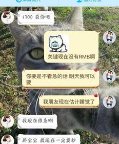 别再被装可怜骗了！告哀乞怜游戏心理战识别与反制全攻略