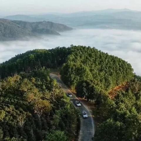 2025年征途下载终极避坑指南，官方渠道+多开配置+私服甄别全实战解析