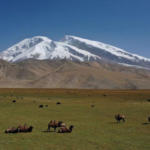 悠闲三国平民最强阵容2025，0氪玩家3天速通实战密码