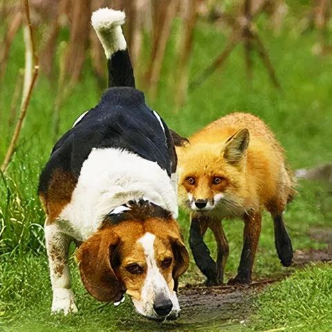 陶德透露，上古卷轴6已可玩，但距离正式发售仍需漫长等待