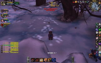 2025最新WOW私服开荒指南,这5个服90%玩家不知道 2025最新WOW私服开荒指南,这5个服90%玩家不知道