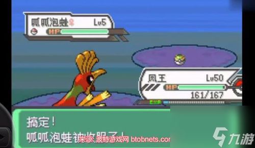 呱呱泡蛙全版本捕获秘籍，从XY到朱紫的实战进阶指南