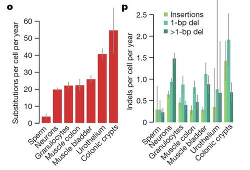 育碧多伦多开启裁员，细胞分裂，重制版开发进度不受影响继续推进