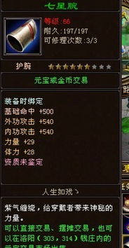 逍遥玉衣2025实战价值揭秘，九阴真经内功防御装终极选择指南