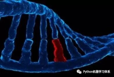 类型基因，从RTS到RTT的隐秘进化