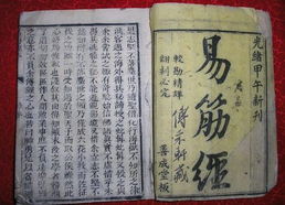 2025少林易筋经数字传承报告，从十二式动作捕捉到虚拟现实修炼的实战攻略