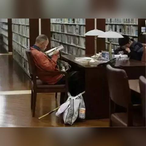 原神3.3版本流浪者怎么养?七圣召唤卡组+圣遗物配装2025最新 原神3.3版本流浪者怎么养?七圣召唤卡组+圣遗物配装2025最新