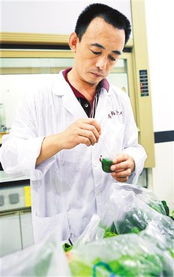 29 岁男子日夜颠倒狂吃碳水，在 ICU 里度过春节！