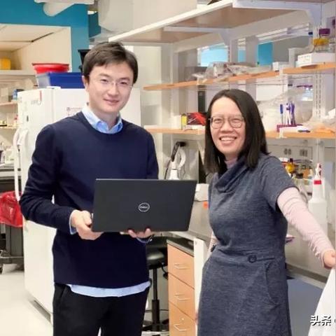 别再被广告忽悠!专家证实白发逆转根本行不通 别再被广告忽悠!专家证实白发逆转根本行不通