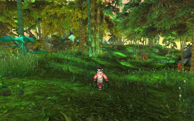 卡桑琅丛林3小时满级路线图，2025终极效率指南