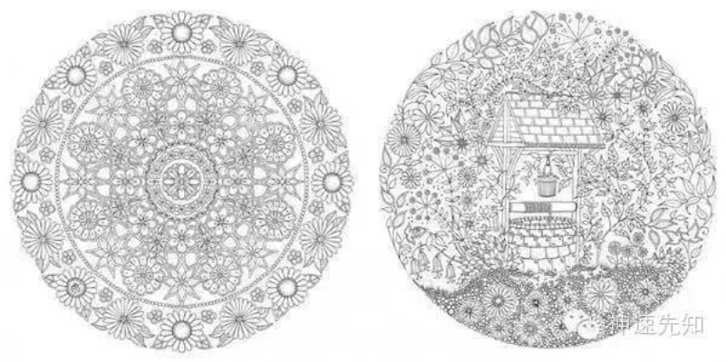 秘密花园下载全版本实测,2025最新避坑指南与隐藏资源获取通道 秘密花园下载全版本实测,2025最新避坑指南与隐藏资源获取通道