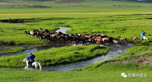 万马奔腾术深度拆解，为什么你的伤害总比别人低30%？