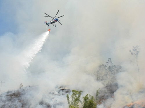 悲剧！俄一架罗宾逊R44直升机坠毁致3人遇难，它是全球事故最多民用机