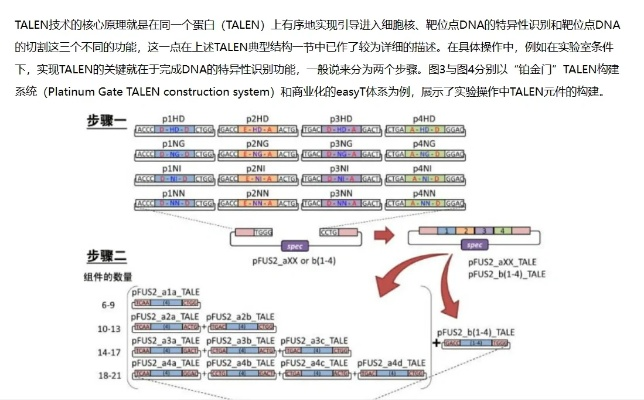 JX2类型的三大核心基因解码