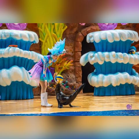 海狮商场表演暴走顾客尖叫逃离?2025年最新应急处理全攻略与责任划分 海狮商场表演暴走顾客尖叫逃离?2025年最新应急处理全攻略与责任划分