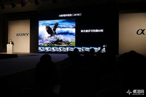 IGN评蓝点工作室关闭事件，索尼互动娱乐再成玩家聚焦焦点