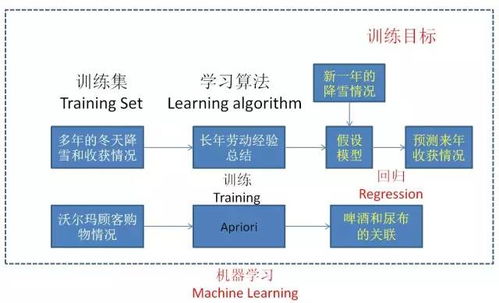 一、三大版本下载类型核心差异